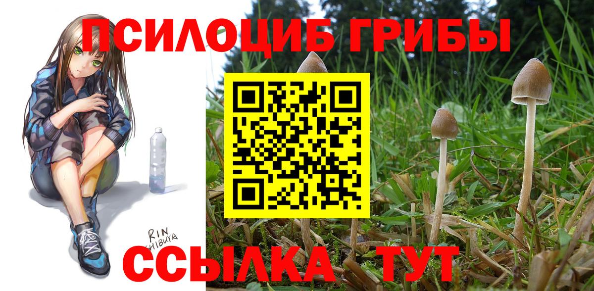 что такое наркотик  Псилоцибиновые грибы GOLDEN TEACHER  Кирово-Чепецк  Вход с VPN  Псилоцибиновые грибы MAGIC MUSHROOMS 